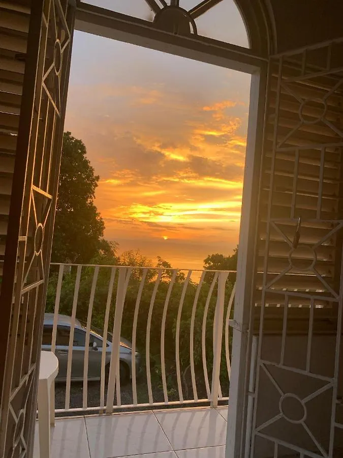 Guest house Mango Walk Guesthouse Montego Bay